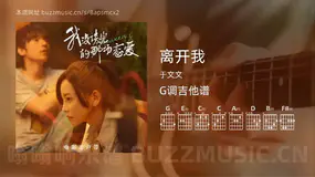 离开我 于文文 吉他谱G调简单版