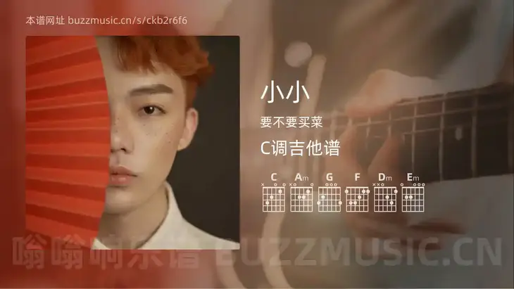 小小吉他谱C调 要不要买菜 简单版