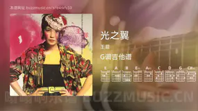 光之翼 王菲 吉他谱G调简单版
