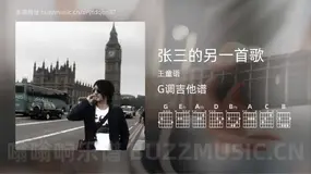 张三的另一首歌 王童语 吉他谱G调简单版