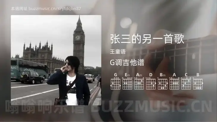 张三的另一首歌 王童语 吉他谱G调简单版