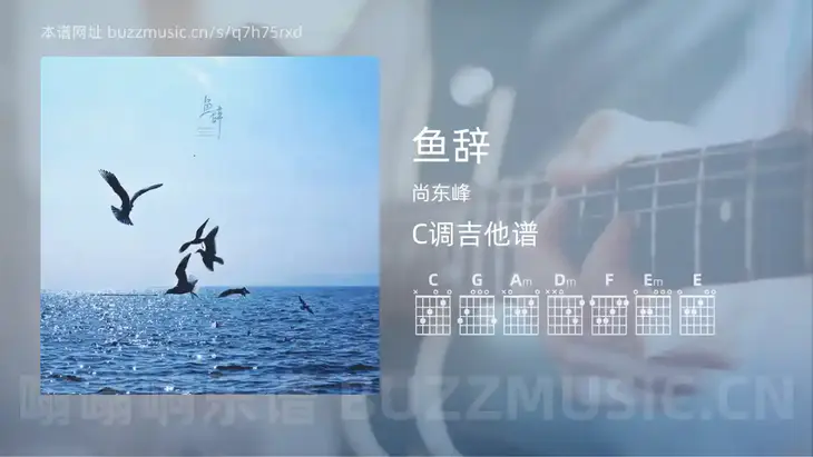 鱼辞 尚东峰 吉他谱C调简单版