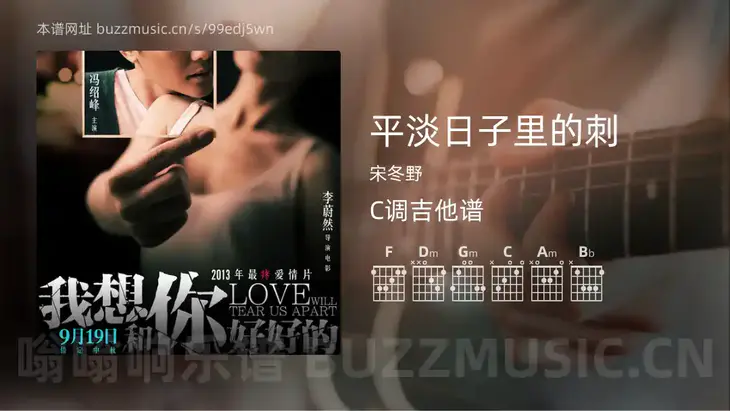 平淡日子里的刺吉他谱C调 宋冬野 简单版