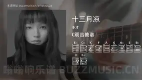 十三月凉 不才 吉他谱C调简单版