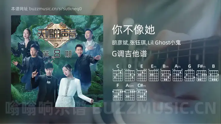 你不像她 胡彦斌,张钰琪,Lil Ghost小鬼 吉他谱G调简单版