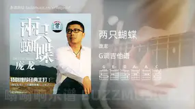 两只蝴蝶 庞龙 吉他谱G调简单版