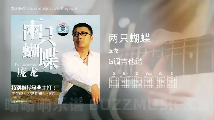 两只蝴蝶 庞龙 吉他谱G调简单版