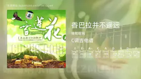 香巴拉并不遥远 德乾旺姆 吉他谱C调简单版