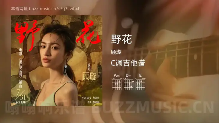 野花 顾璇 吉他谱C调简单版