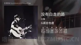 没有白走的路 小海 吉他谱G调简单版
