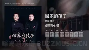 回家的孩子 陈星,李念 吉他谱G调简单版