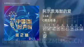 阿尔茨海默的爱 王泓昊 吉他谱C调简单版
