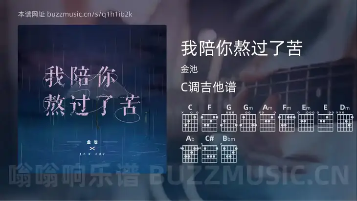 我陪你熬过了苦 金池 吉他谱C调简单版