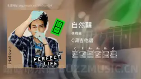 自然醒 林宥嘉 吉他谱C调简单版