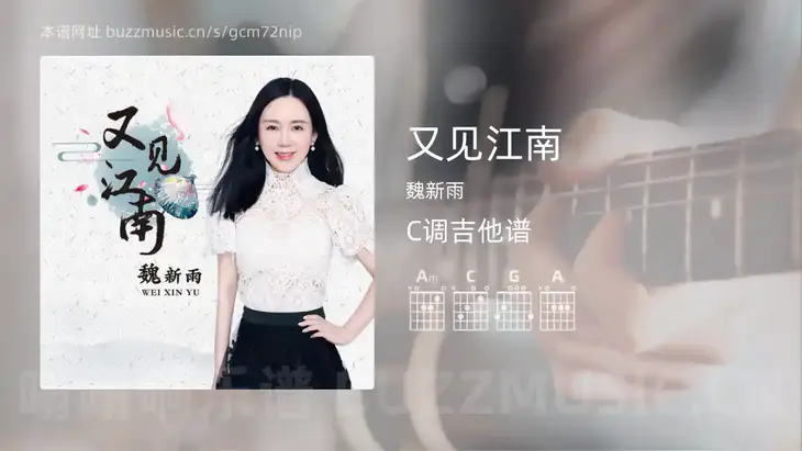 又见江南 魏新雨 吉他谱C调简单版
