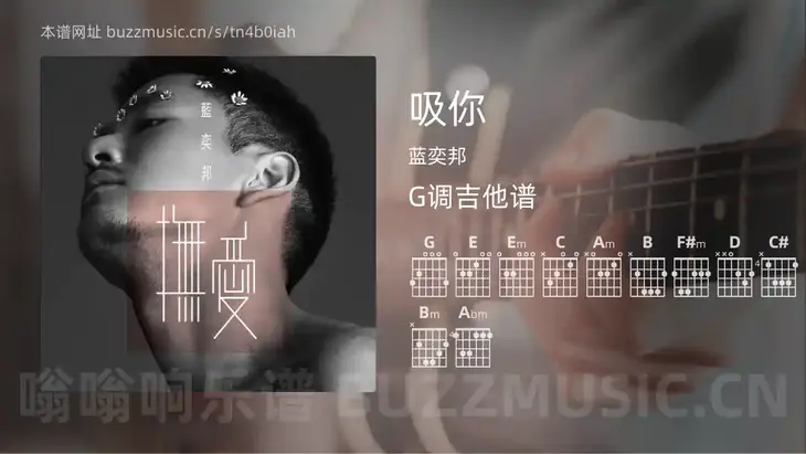 吸你吉他谱G调 蓝奕邦 简单版