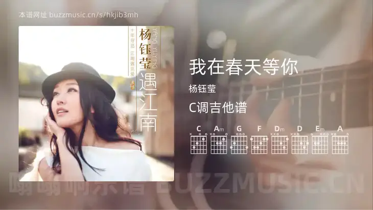 我在春天等你 杨钰莹 吉他谱C调简单版