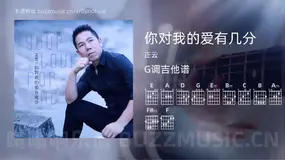 你对我的爱有几分吉他谱G调 正云 简单版