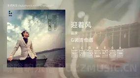 迎着风 蓝波 吉他谱G调简单版