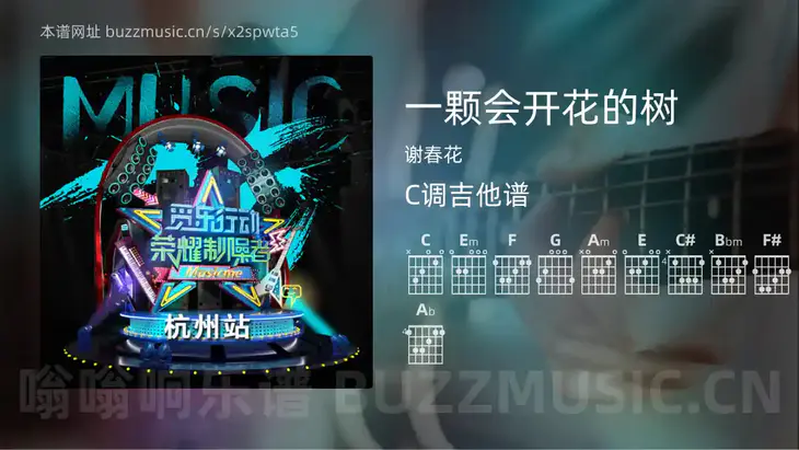 一颗会开花的树 谢春花 吉他谱C调简单版