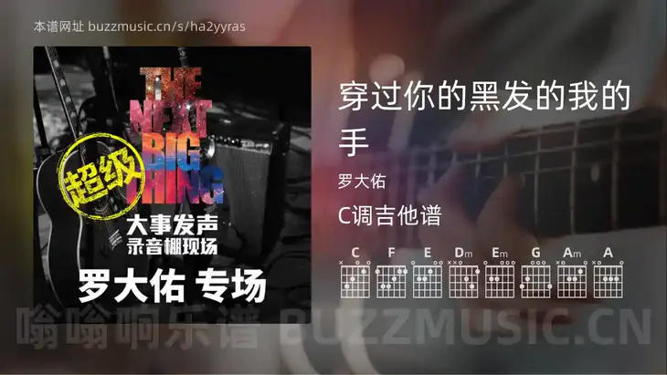 穿过你的黑发的我的手 罗大佑 吉他谱C调简单版