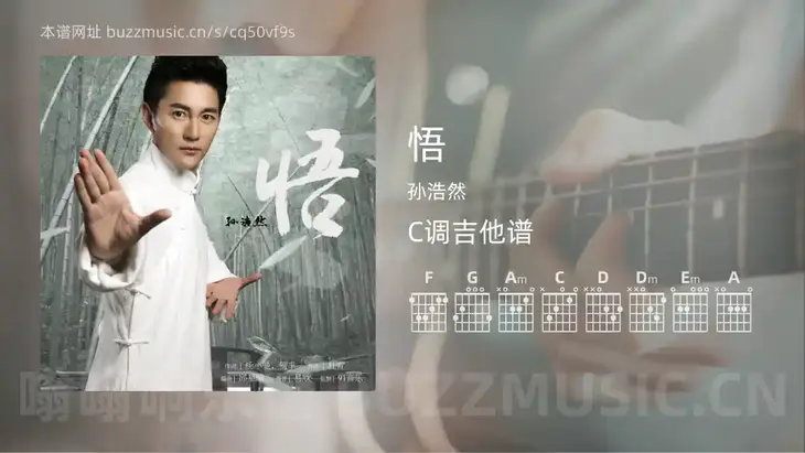 悟 孙浩然 吉他谱C调简单版
