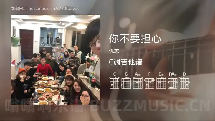 你不要担心 仇志 吉他谱C调简单版