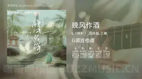 晚风作酒 L（桃籽）,周林枫,三楠 吉他谱G调简单版