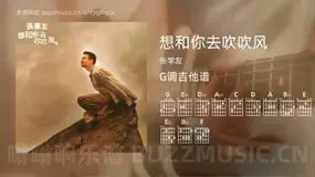 想和你去吹吹风 张学友 吉他谱G调简单版
