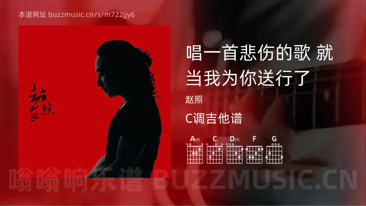 唱一首悲伤的歌 就当我为你送行了 赵照 吉他谱C调简单版