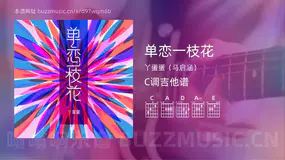 单恋一枝花 丫蛋蛋（马启涵） 吉他谱C调简单版