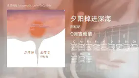 夕阳掉进深海 阿粘粘 吉他谱C调简单版