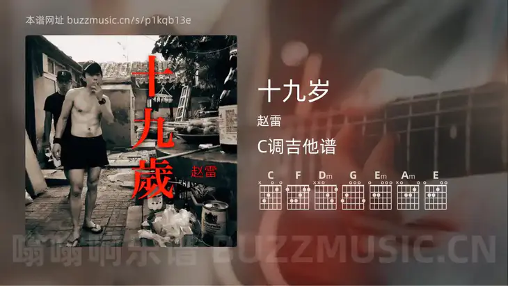 十九岁 赵雷 吉他谱C调简单版