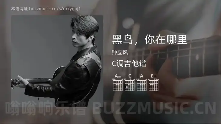 黑鸟，你在哪里 钟立风 吉他谱C调简单版