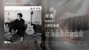 卓雅 海来阿木 吉他谱C调简单版