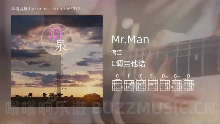 Mr.Man吉他谱C调 满江 简单版
