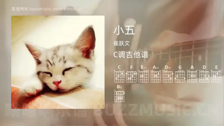 小五 崔跃文 吉他谱C调简单版
