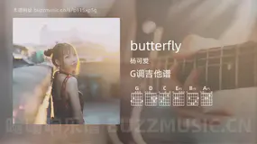 butterfly 杨可爱 吉他谱G调简单版