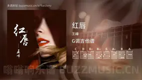 红唇 王峰 吉他谱G调简单版