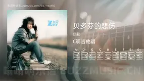 贝多芬的悲伤 郑毅 吉他谱C调简单版