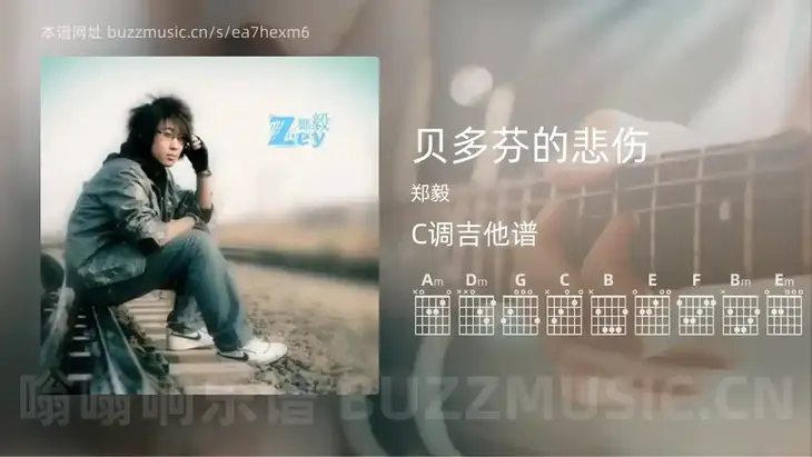贝多芬的悲伤 郑毅 吉他谱C调简单版