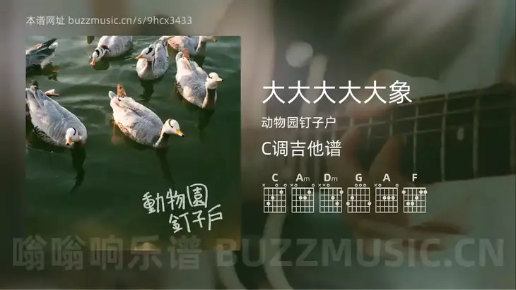大大大大大象 动物园钉子户 吉他谱C调简单版