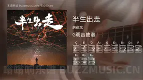 半生出走吉他谱G调 胡彦斌 简单版