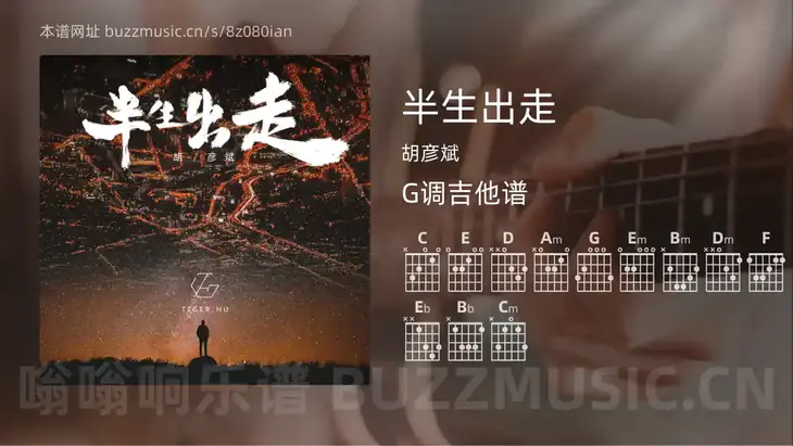 半生出走吉他谱G调 胡彦斌 简单版