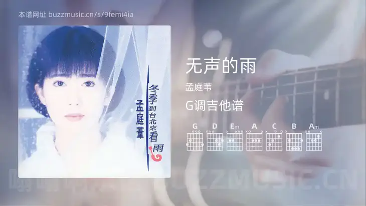 无声的雨 孟庭苇 吉他谱G调简单版