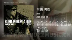 生来彷徨 汪峰 吉他谱G调简单版