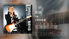 水妖 许巍 吉他谱C调简单版