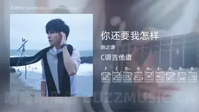 你还要我怎样吉他谱C调 薛之谦 简单版