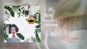 青柠 徐秉龙,桃十五 吉他谱C调简单版