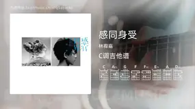 感同身受 林宥嘉 吉他谱C调简单版